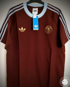 aston villa (8)